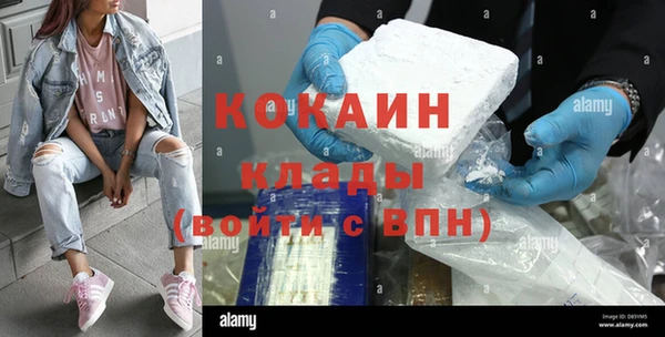 Альфа ПВП Каменка