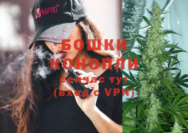 метадон Инсар