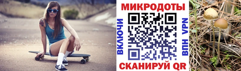 mega ссылка  Тогучин  Галлюциногенные грибы Magic Shrooms 